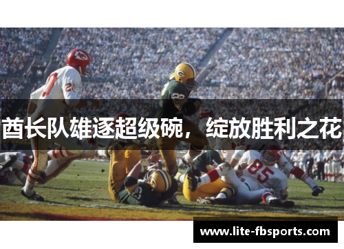 酋长队雄逐超级碗，绽放胜利之花