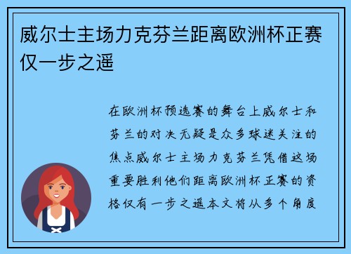 威尔士主场力克芬兰距离欧洲杯正赛仅一步之遥
